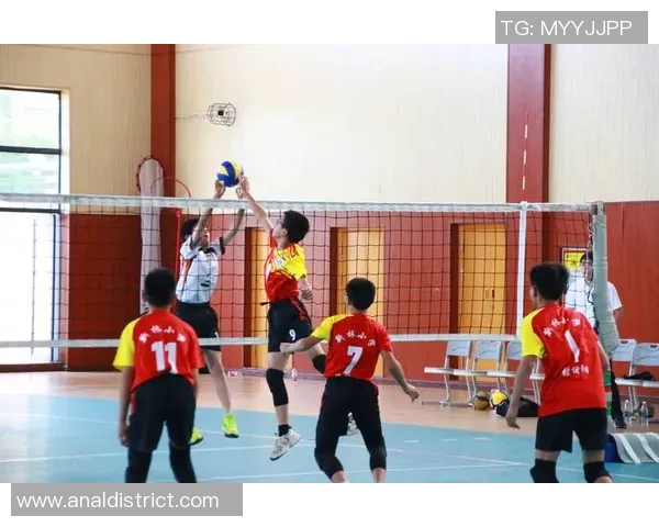 重庆排球队与成都排球队实力对比赛后分析及未来展望